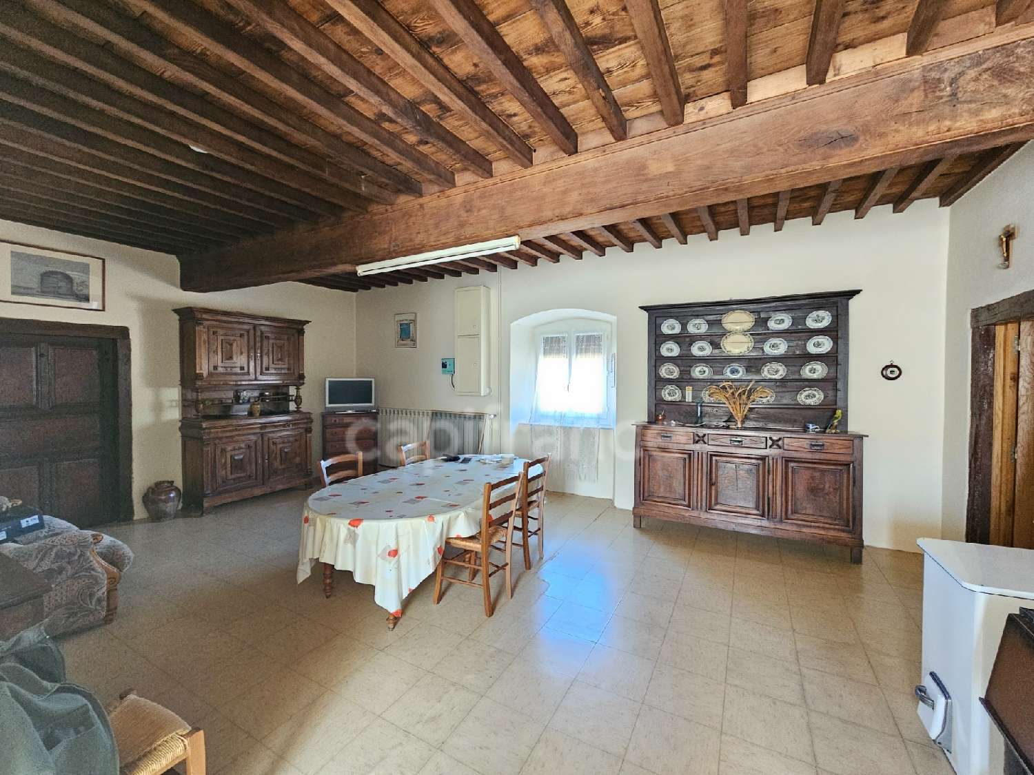  for sale farm Cottance Loire 5