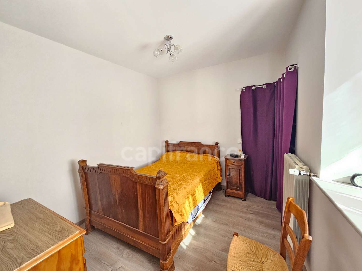  for sale farm Cottance Loire 7