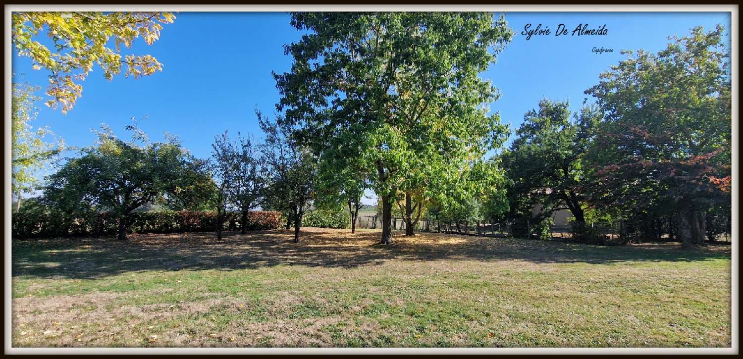  à vendre ferme Dommartin Ain 2