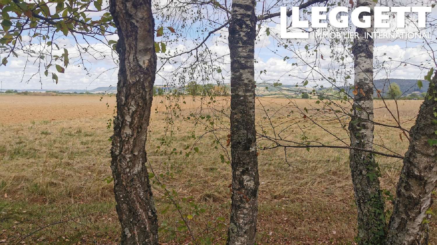 à vendre ferme Lantilly Côte-d'Or 5