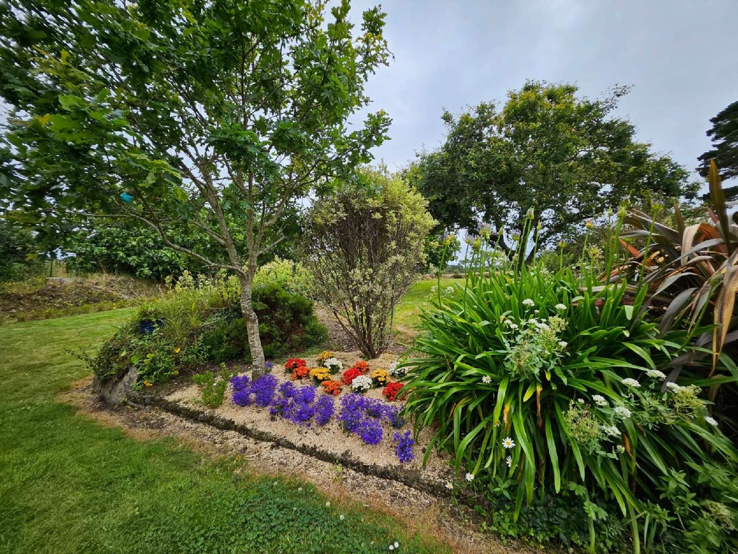 for sale farm Roscanvel Finistère 7