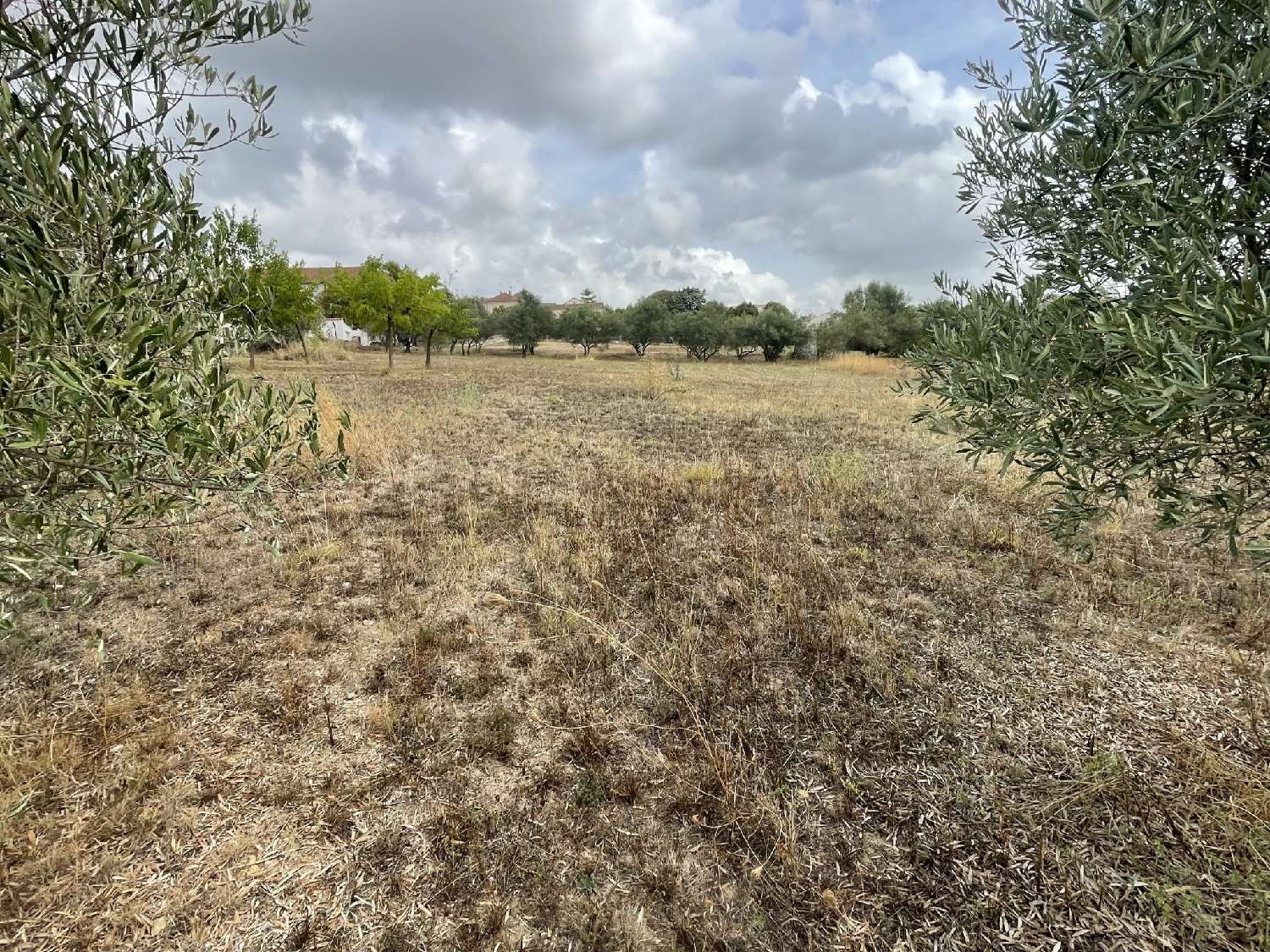  te koop boerderij Saint-Hilaire-de-Brethmas Gard 1