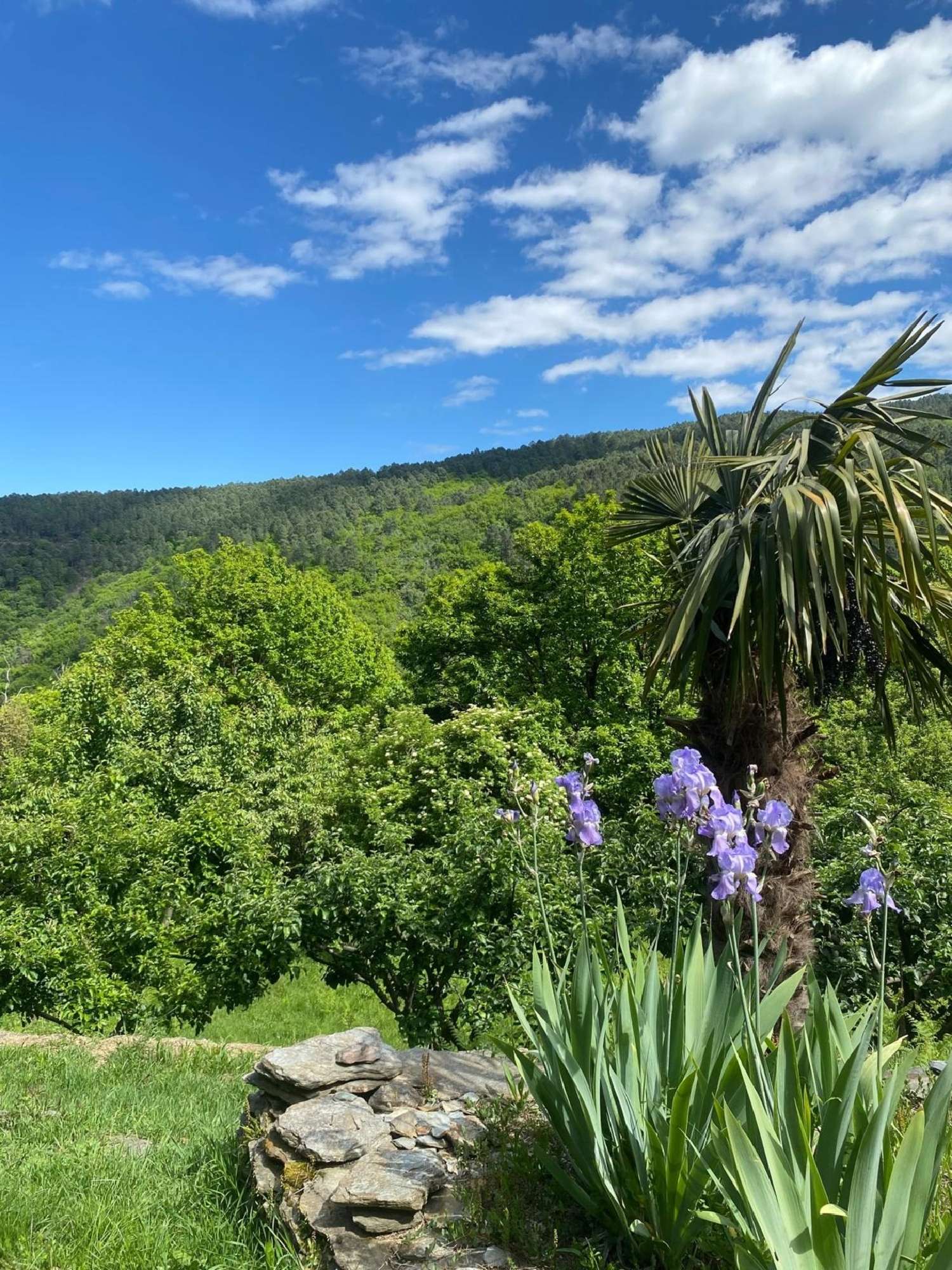 en venta casa rústica Saint-Martin-de-Boubaux Lozère 8