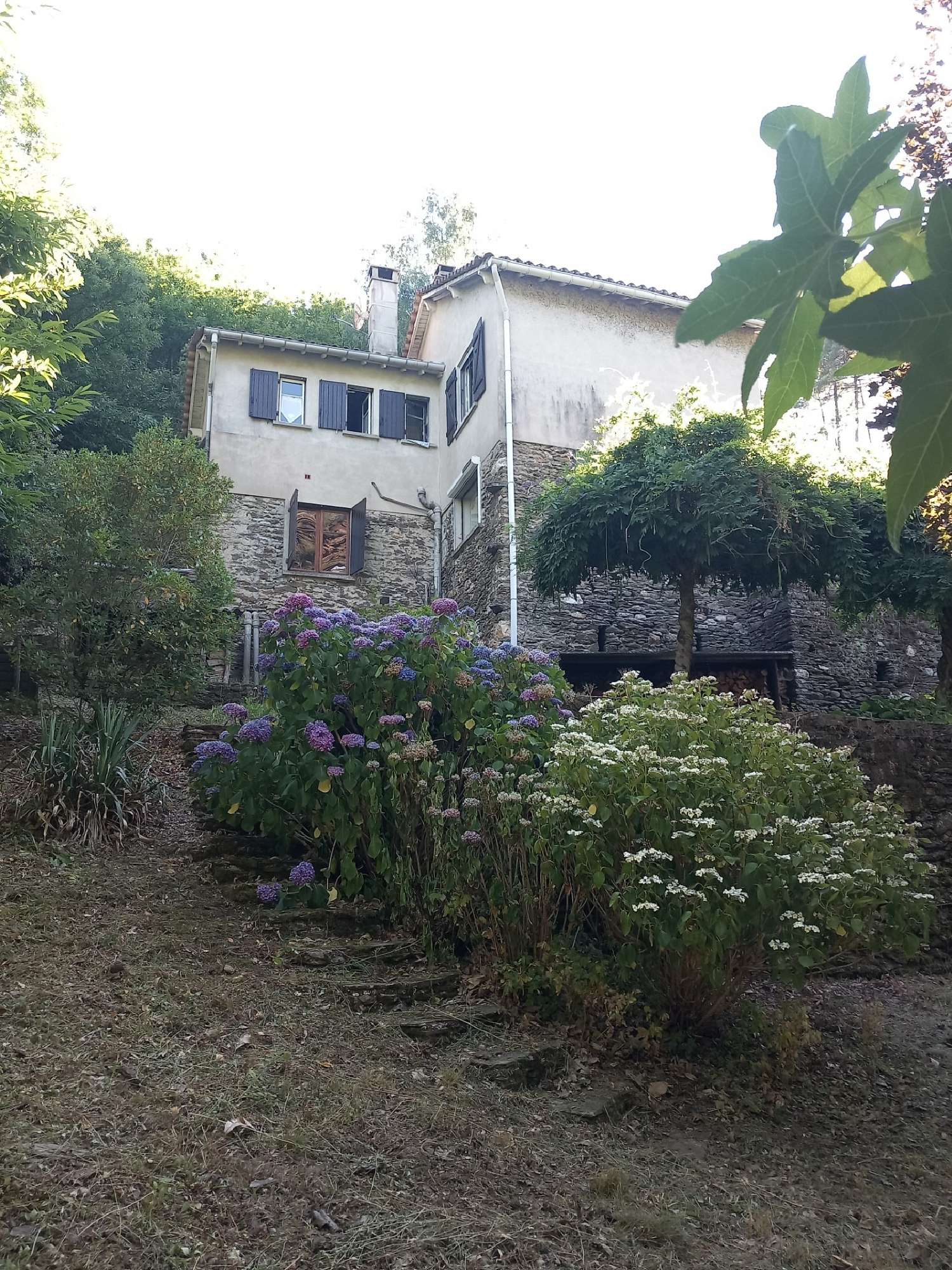 kaufen Bauernhof Saint-Paul-la-Coste Gard 1