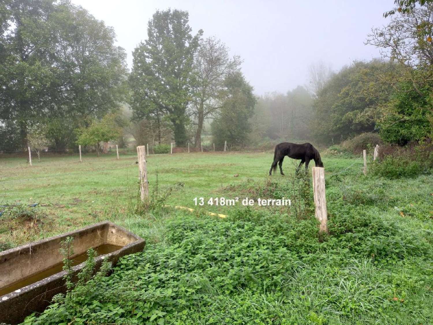 en venta casa rústica Saint-Pierre-la-Cour Mayenne 1