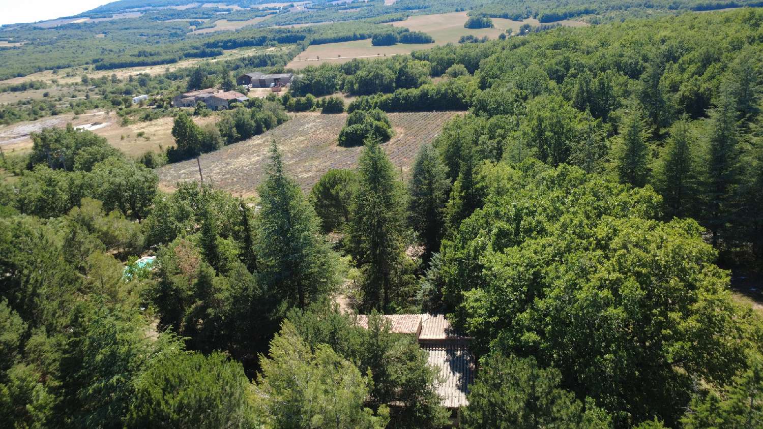  for sale farm Simiane-la-Rotonde Alpes-de-Haute-Provence 2