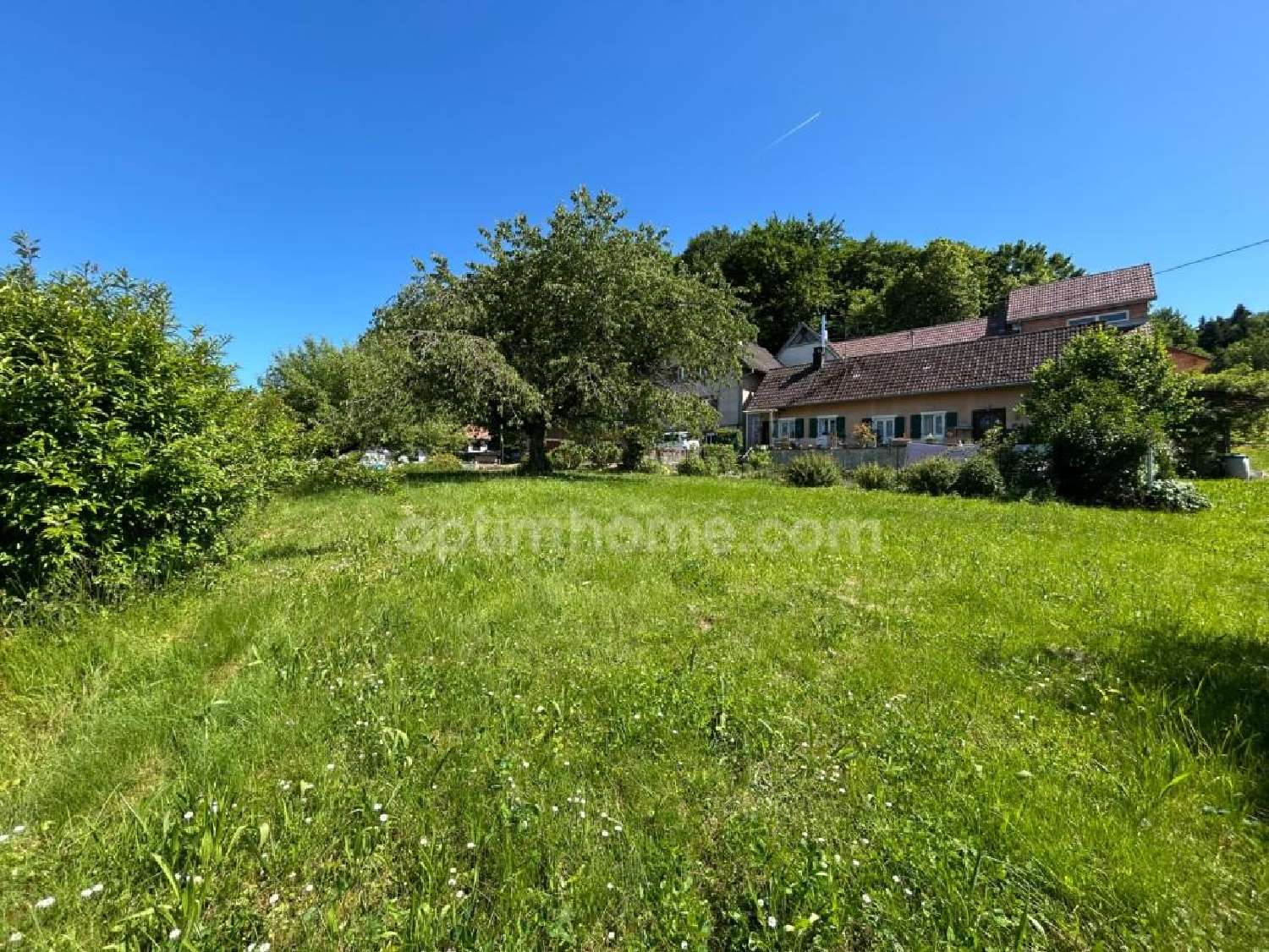  à vendre ferme Vieux-Ferrette Haut-Rhin 2