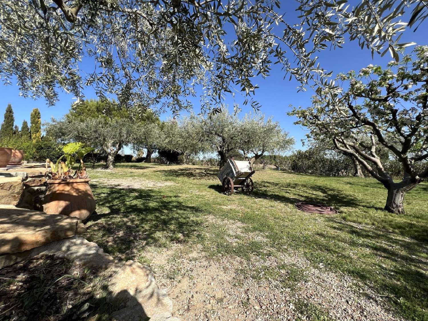  à vendre maison Argeliers Aude 2