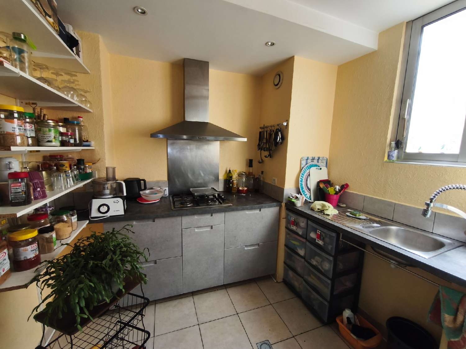  for sale house Arles-sur-Tech Pyrénées-Orientales 6