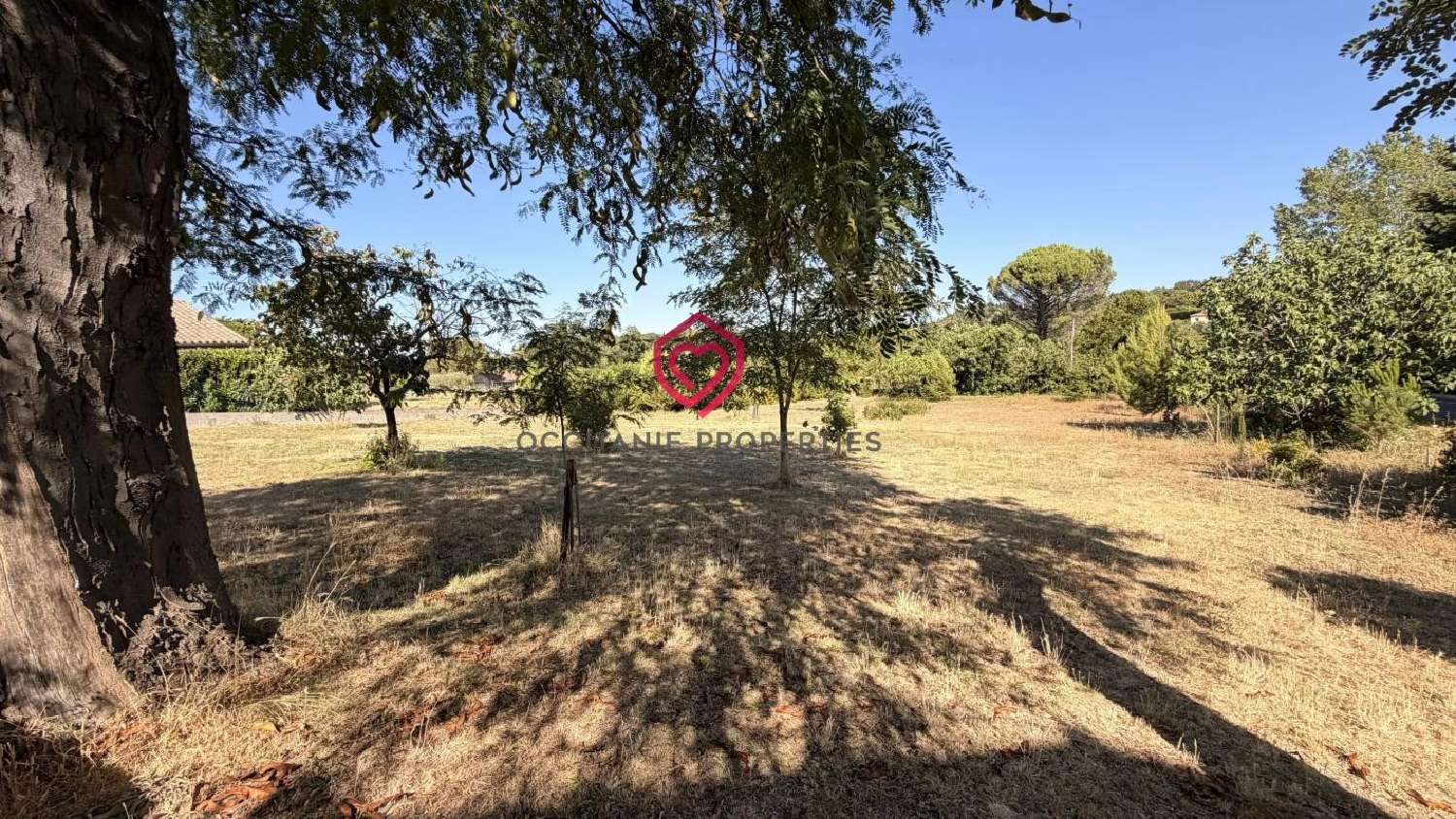  à vendre maison Arzens Aude 3