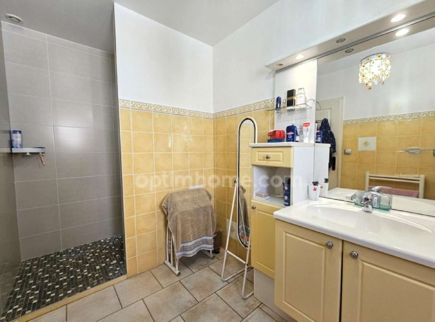  te koop huis Asnières-sur-Nouère Charente 5