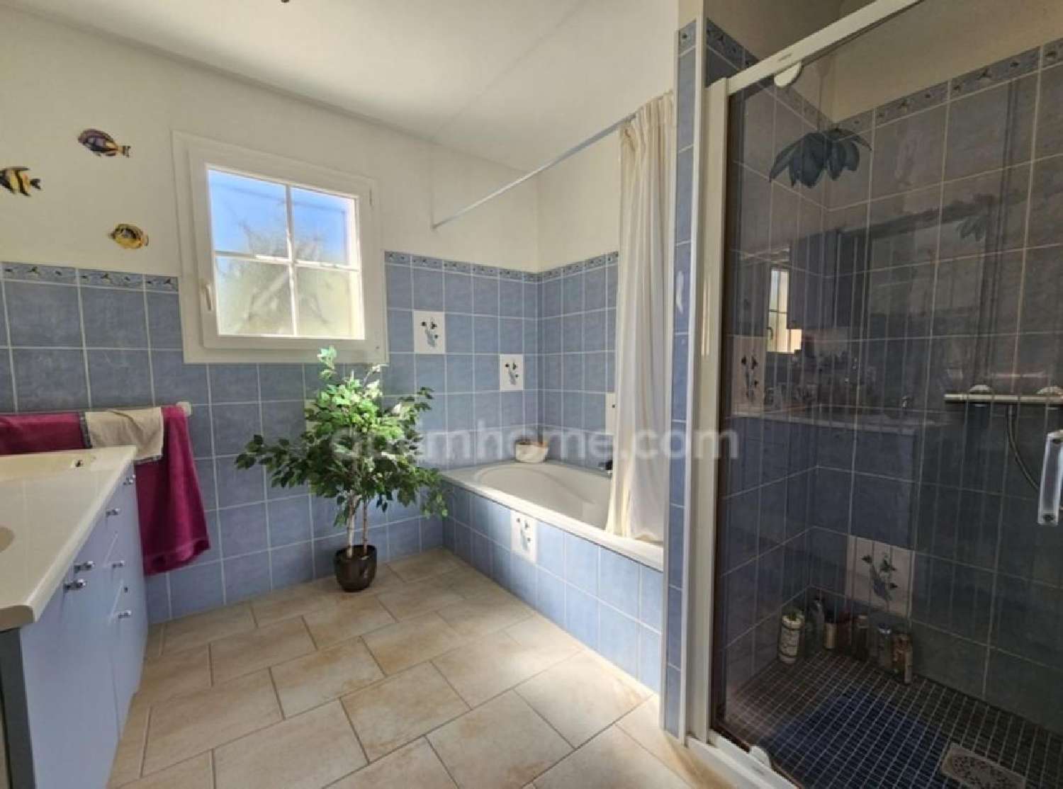  te koop huis Asnières-sur-Nouère Charente 6