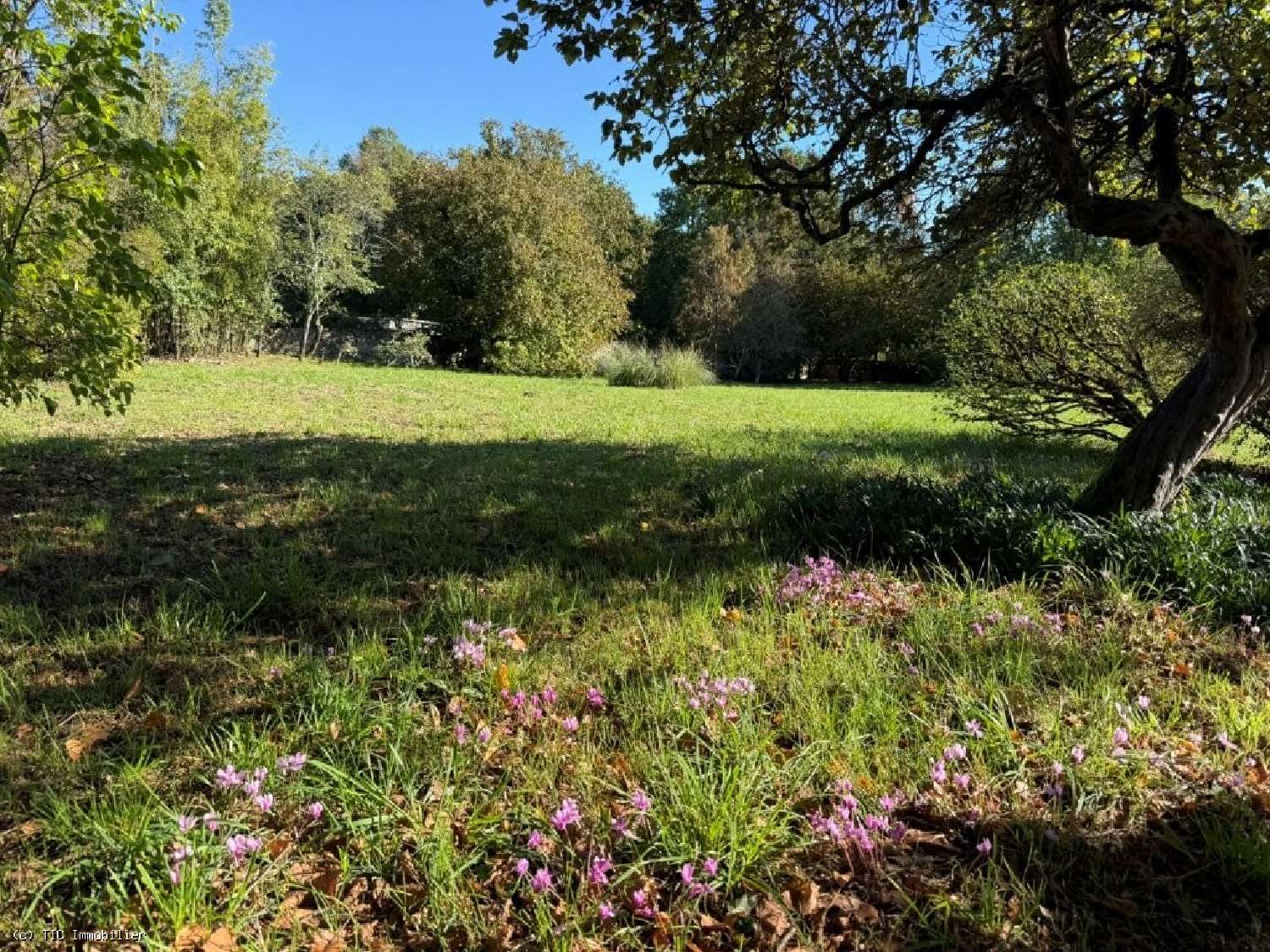 te koop huis Aunac Charente 4