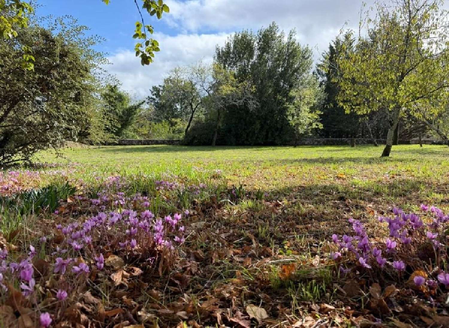 for sale house Aunac Charente 4