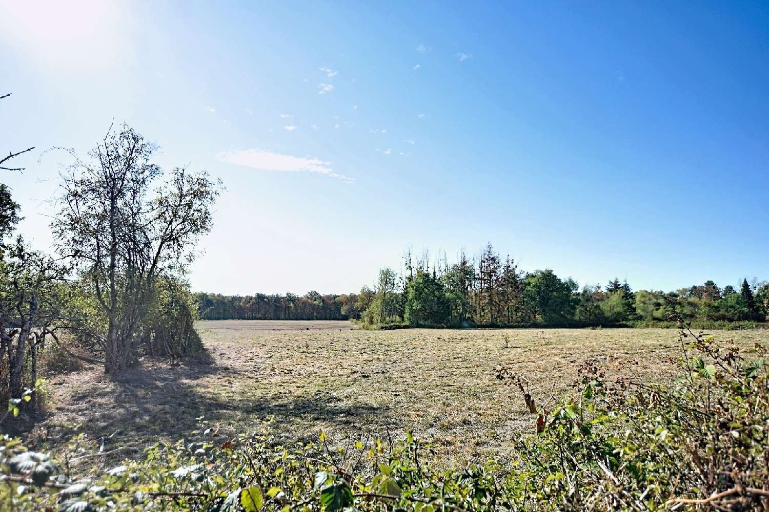 for sale house Auxy Saône-et-Loire 2