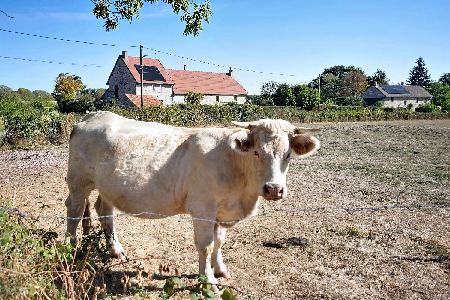 for sale house Auxy Saône-et-Loire 3