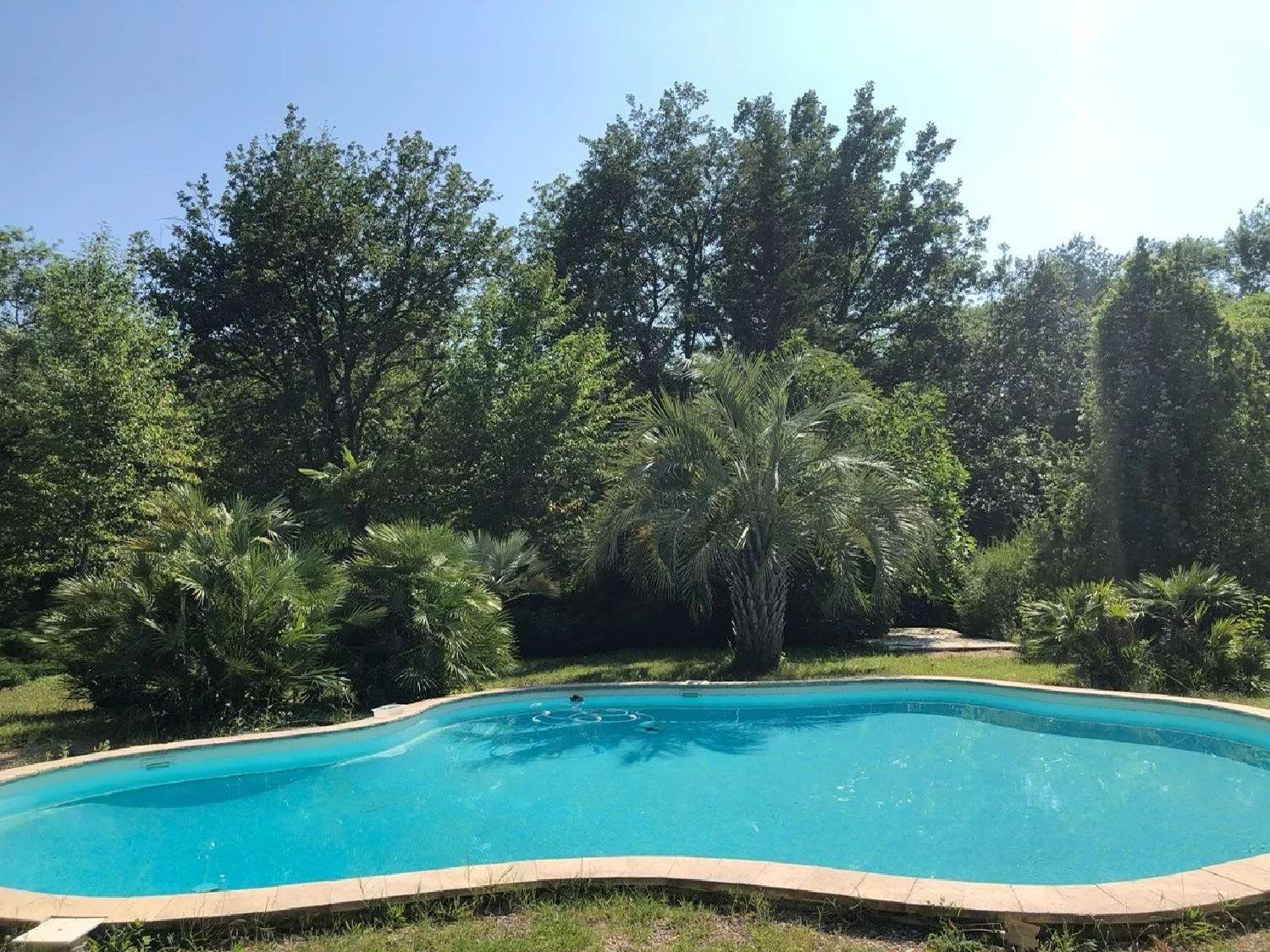kaufen Haus Bagnols-en-Forêt Var 4
