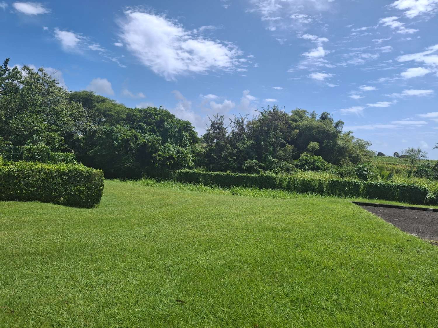  for sale house Baie-Mahault Guadeloupe 3
