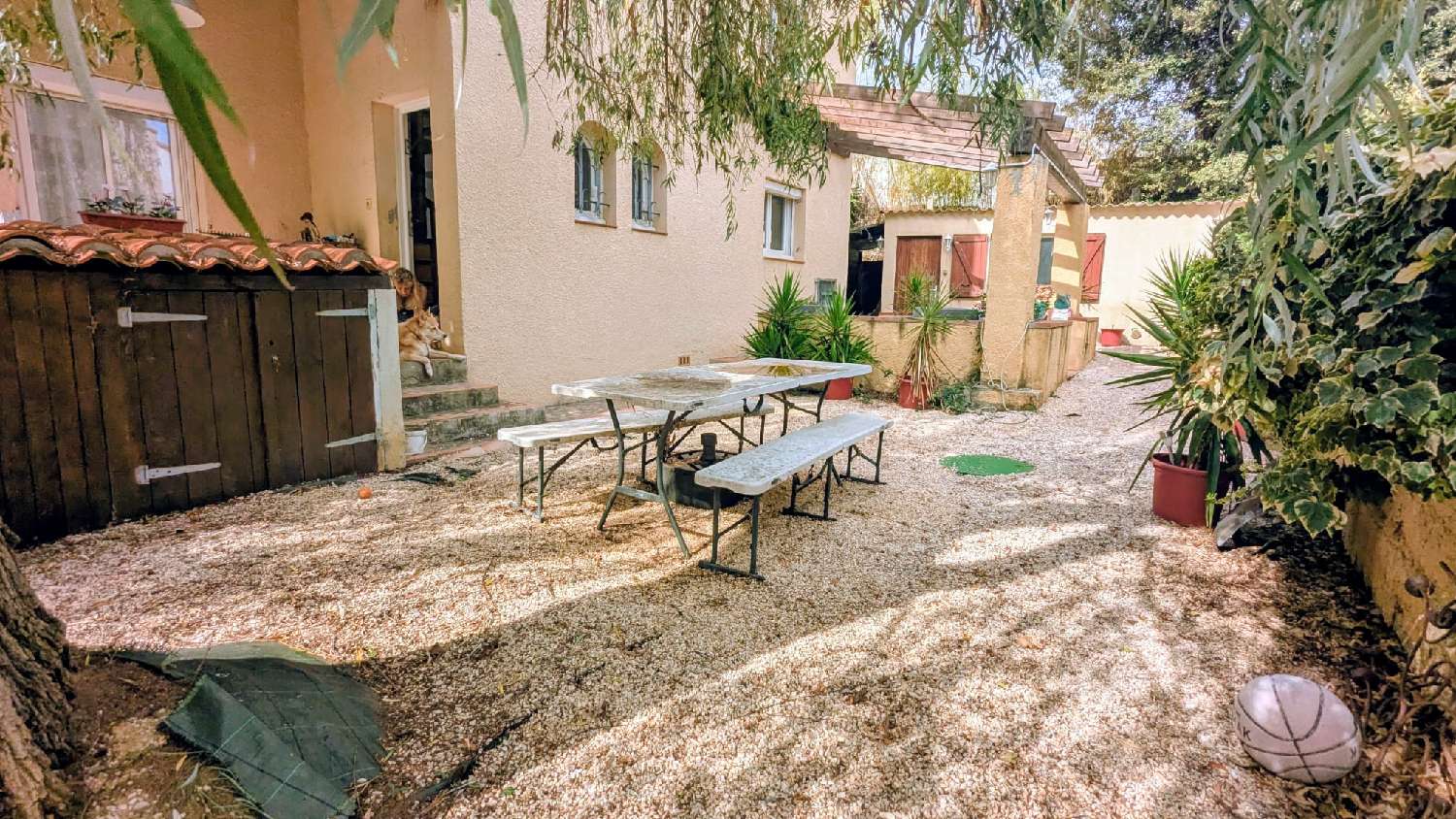  à vendre maison Banyuls-dels-Aspres Pyrénées-Orientales 2