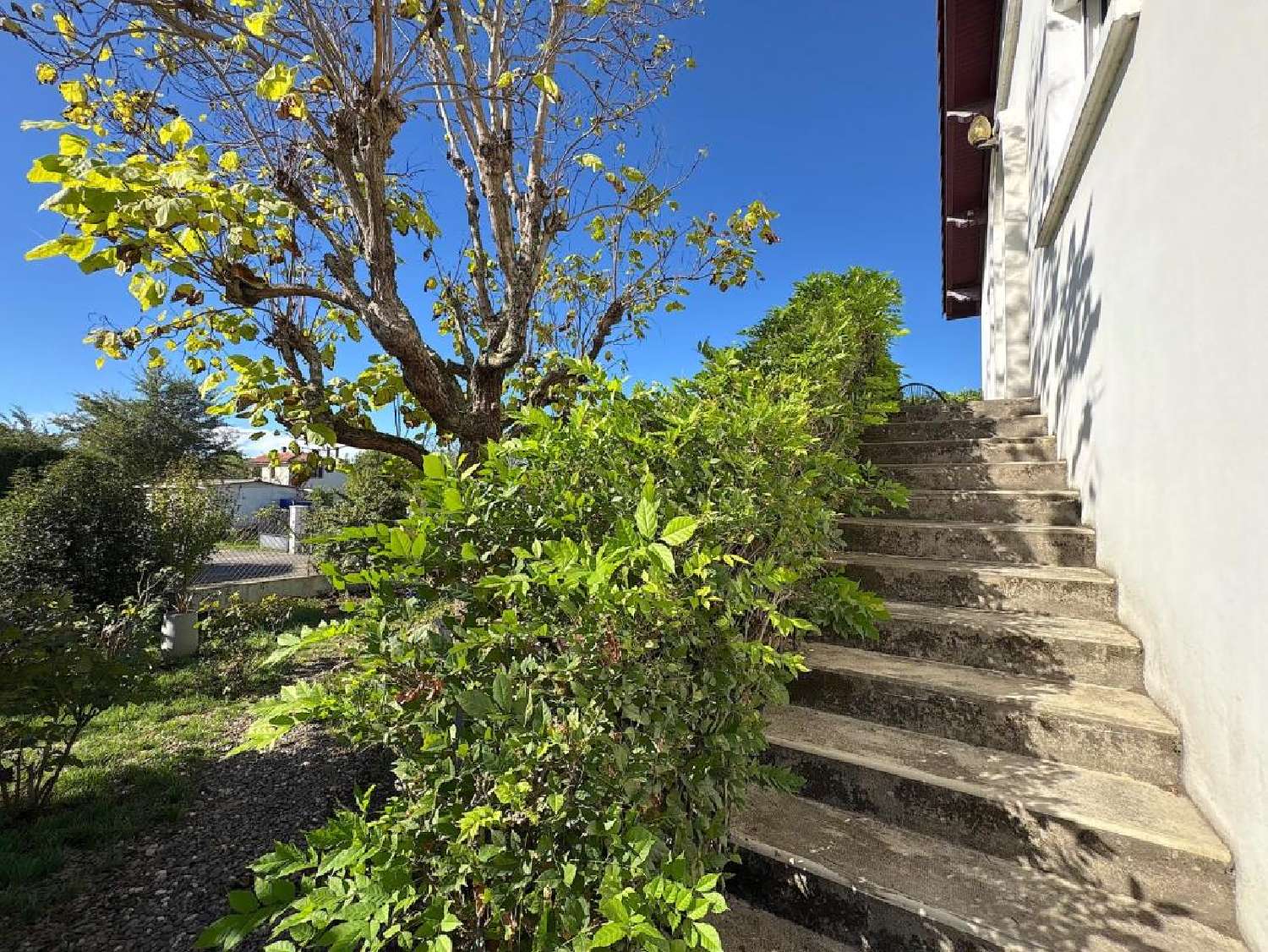 for sale house Barcelonne-du-Gers Gers 3