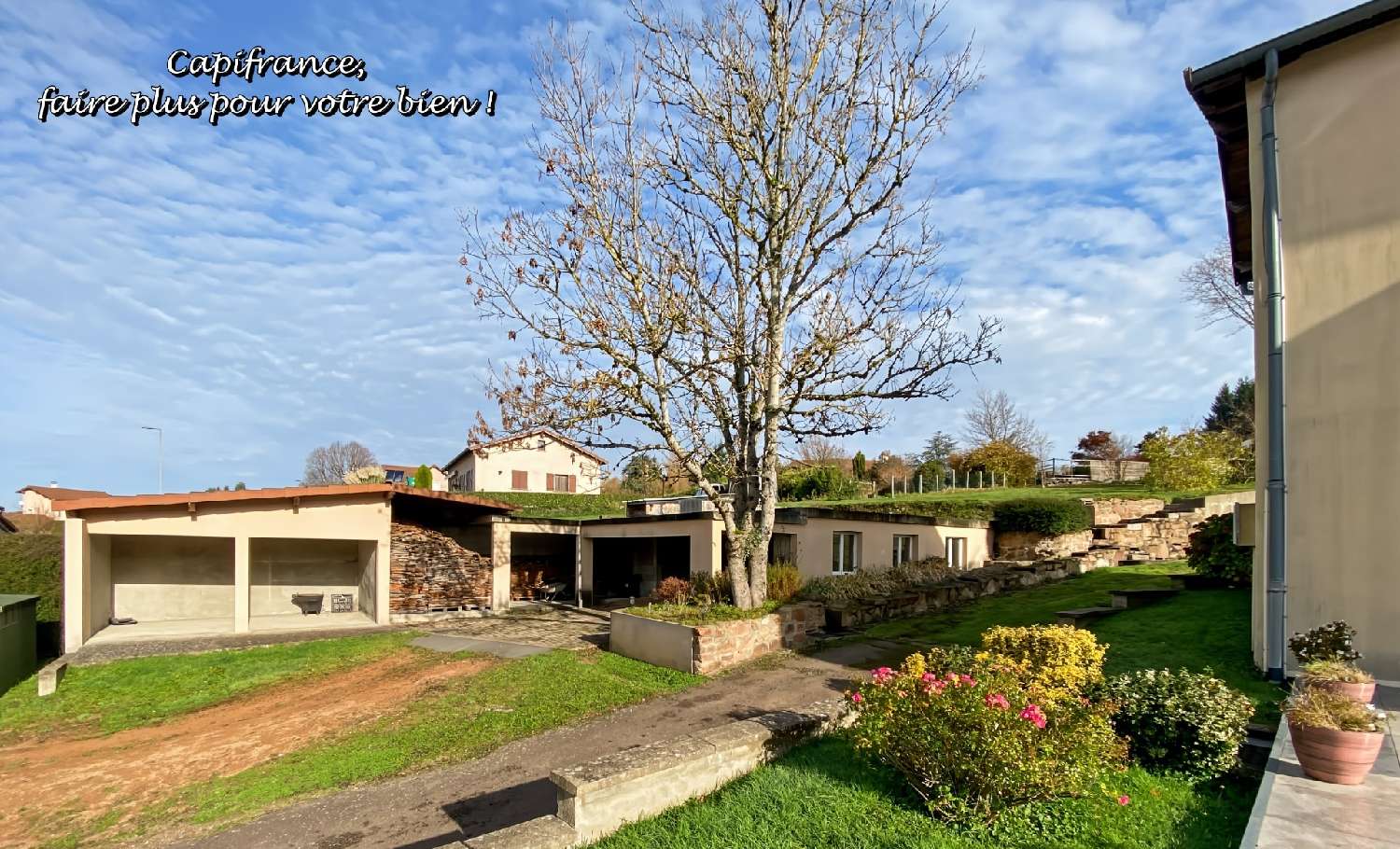 te koop huis Belmont-de-la-Loire Loire 2