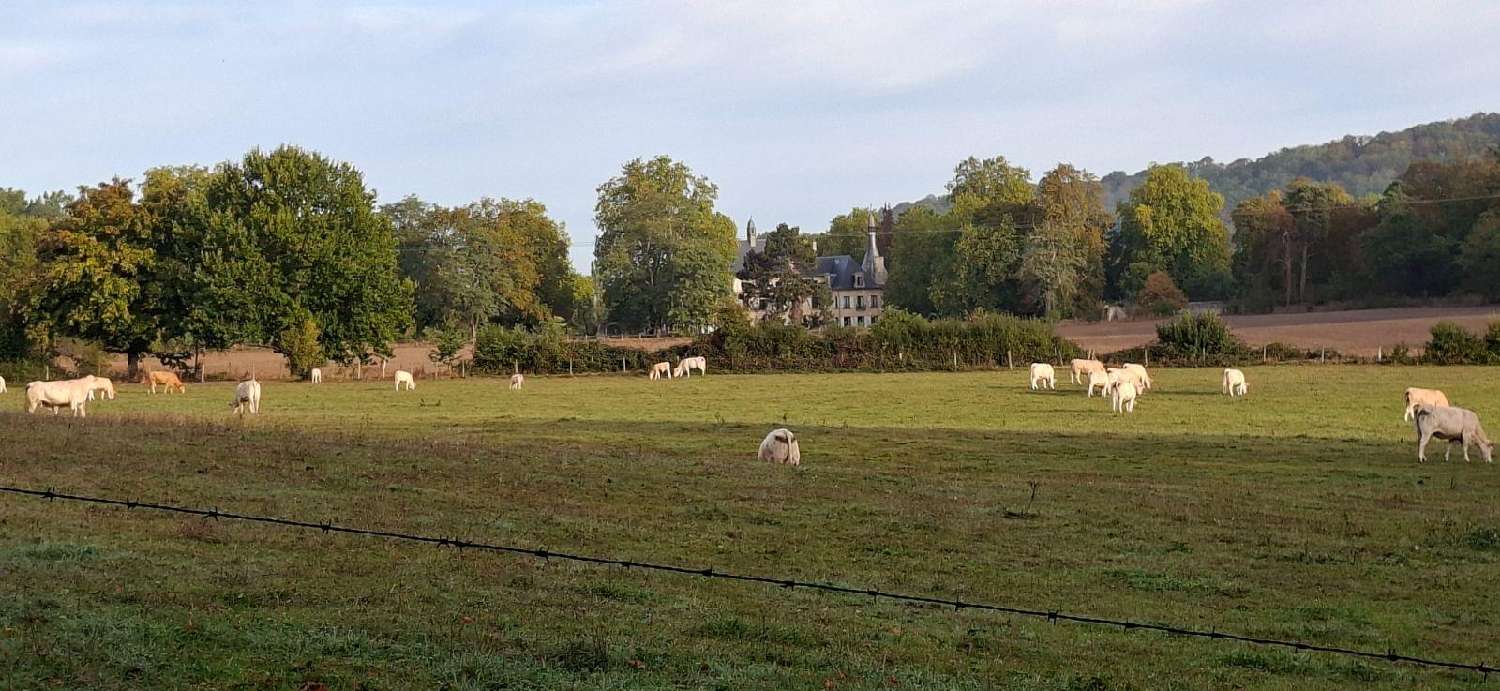  kaufen Haus Besny-et-Loizy Aisne 6