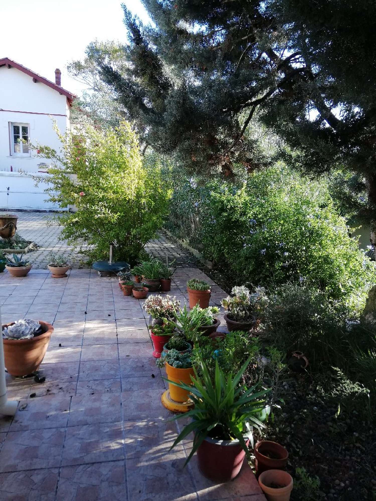  for sale house Béziers Hérault 3