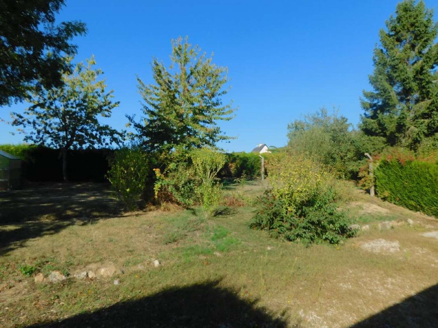 for sale house Billé Ille-et-Vilaine 5