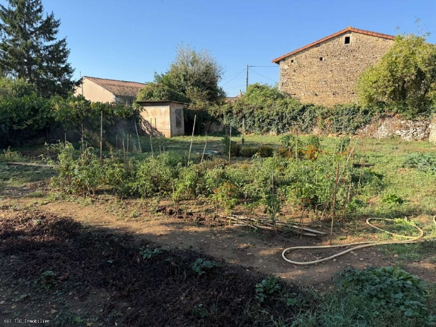 for sale house Blanzay Vienne 5