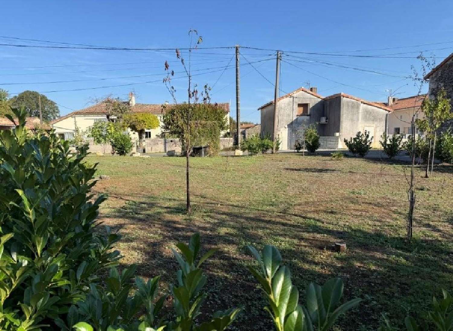 for sale house Blanzay Vienne 4