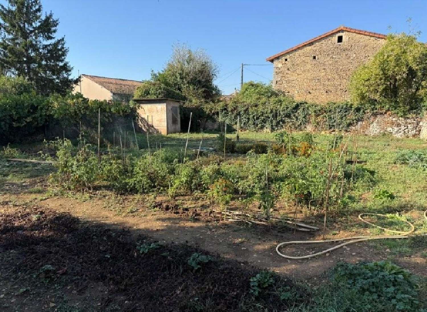 for sale house Blanzay Vienne 5