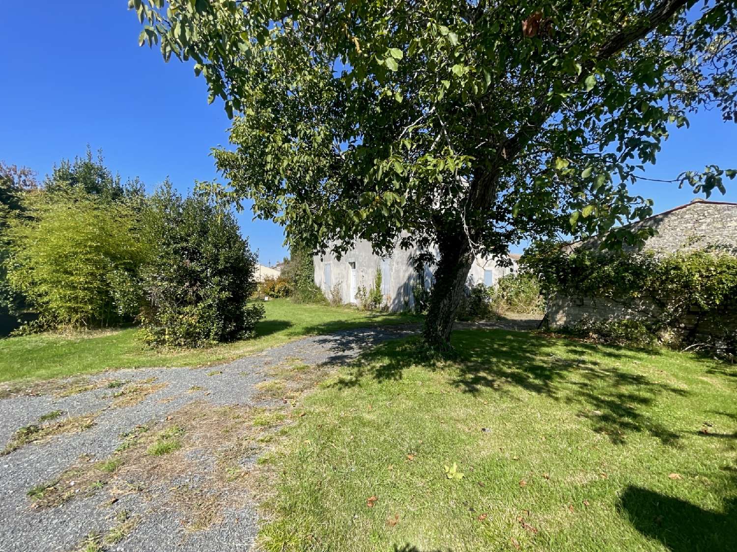  kaufen Haus Bourgneuf Charente-Maritime 5