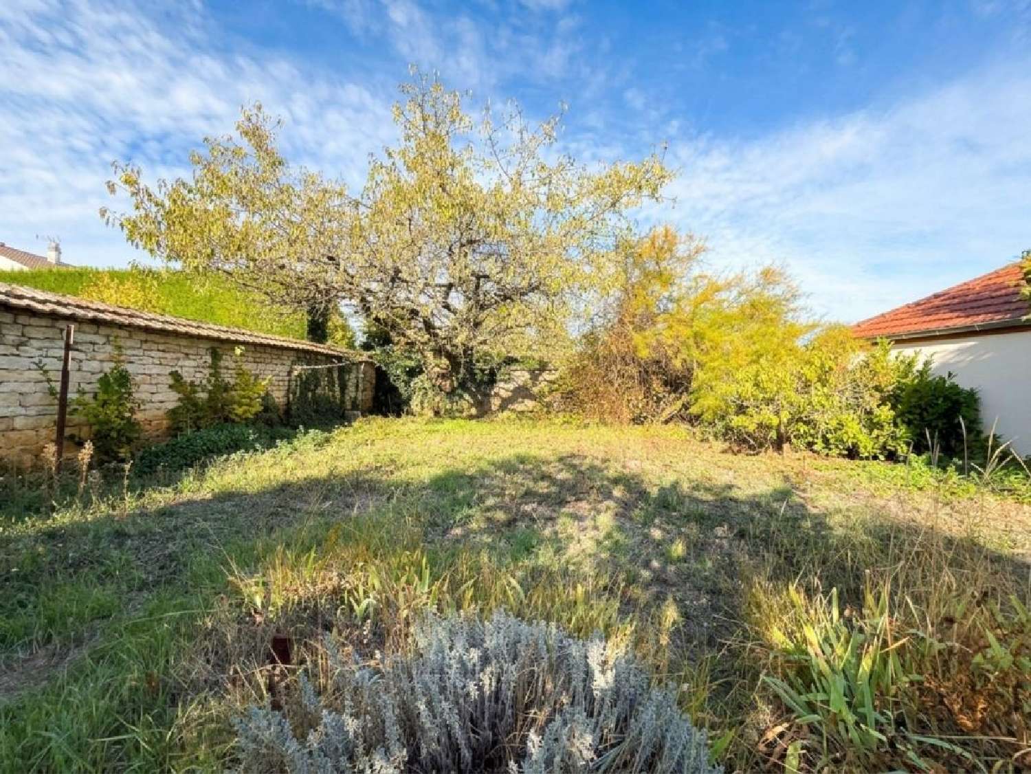  à vendre maison Brochon Côte-d'Or 6