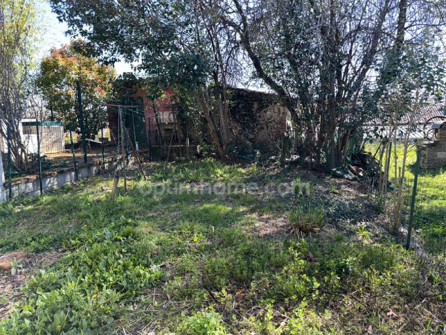 en venta casa Cadours Haute-Garonne 3