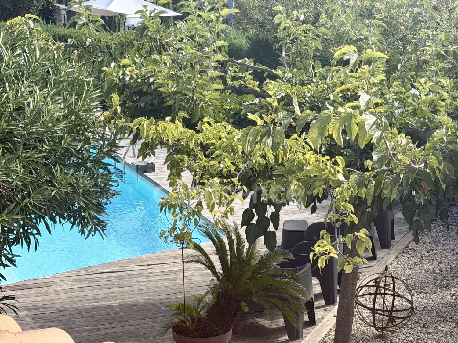 en venta casa Cagnes-sur-Mer Alpes-Maritimes 5