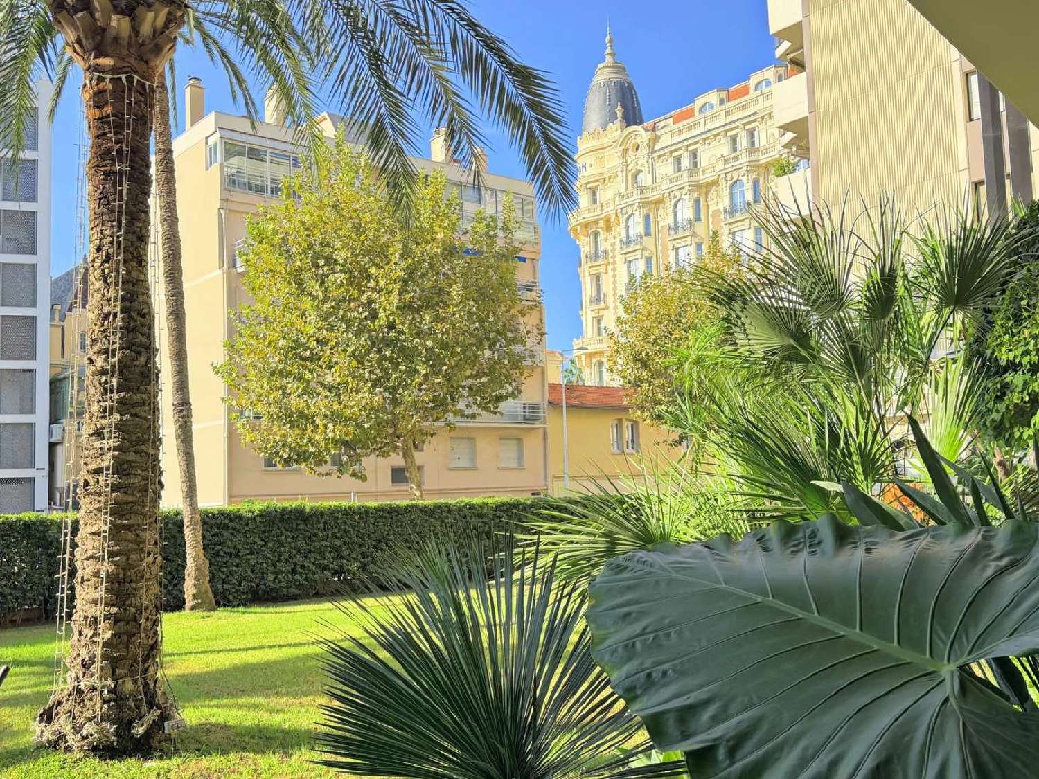 à vendre maison Cannes Alpes-Maritimes 1