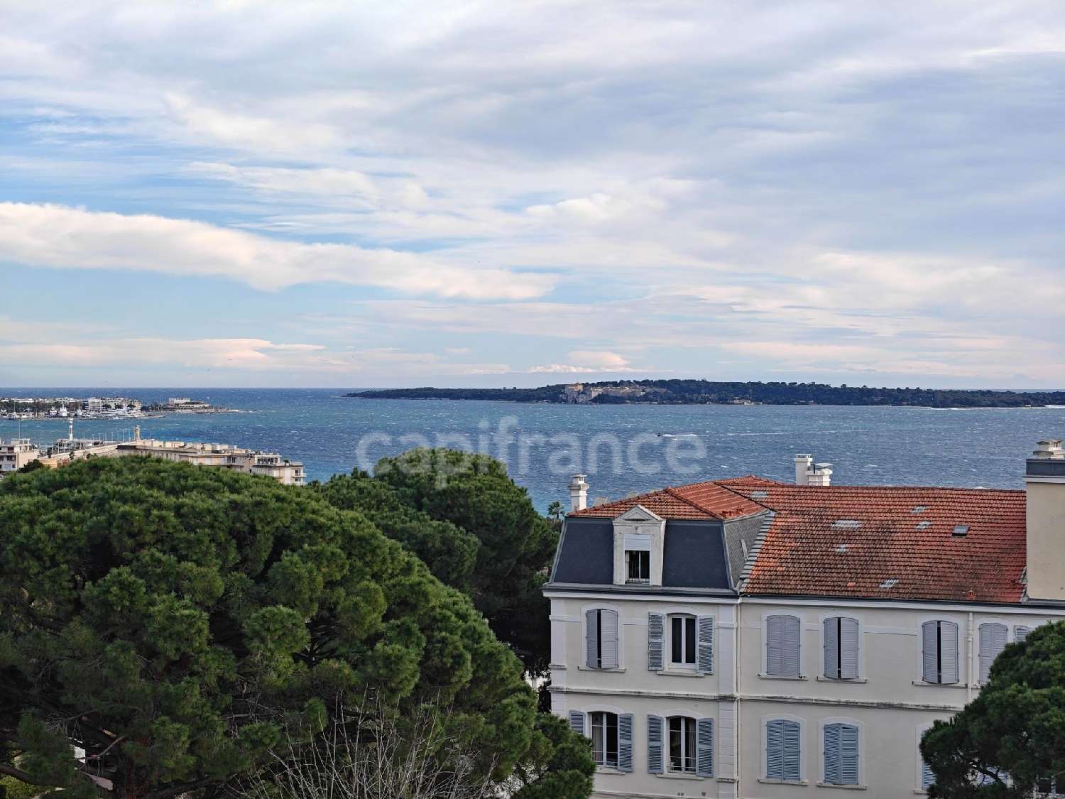 for sale house Cannes Alpes-Maritimes 2