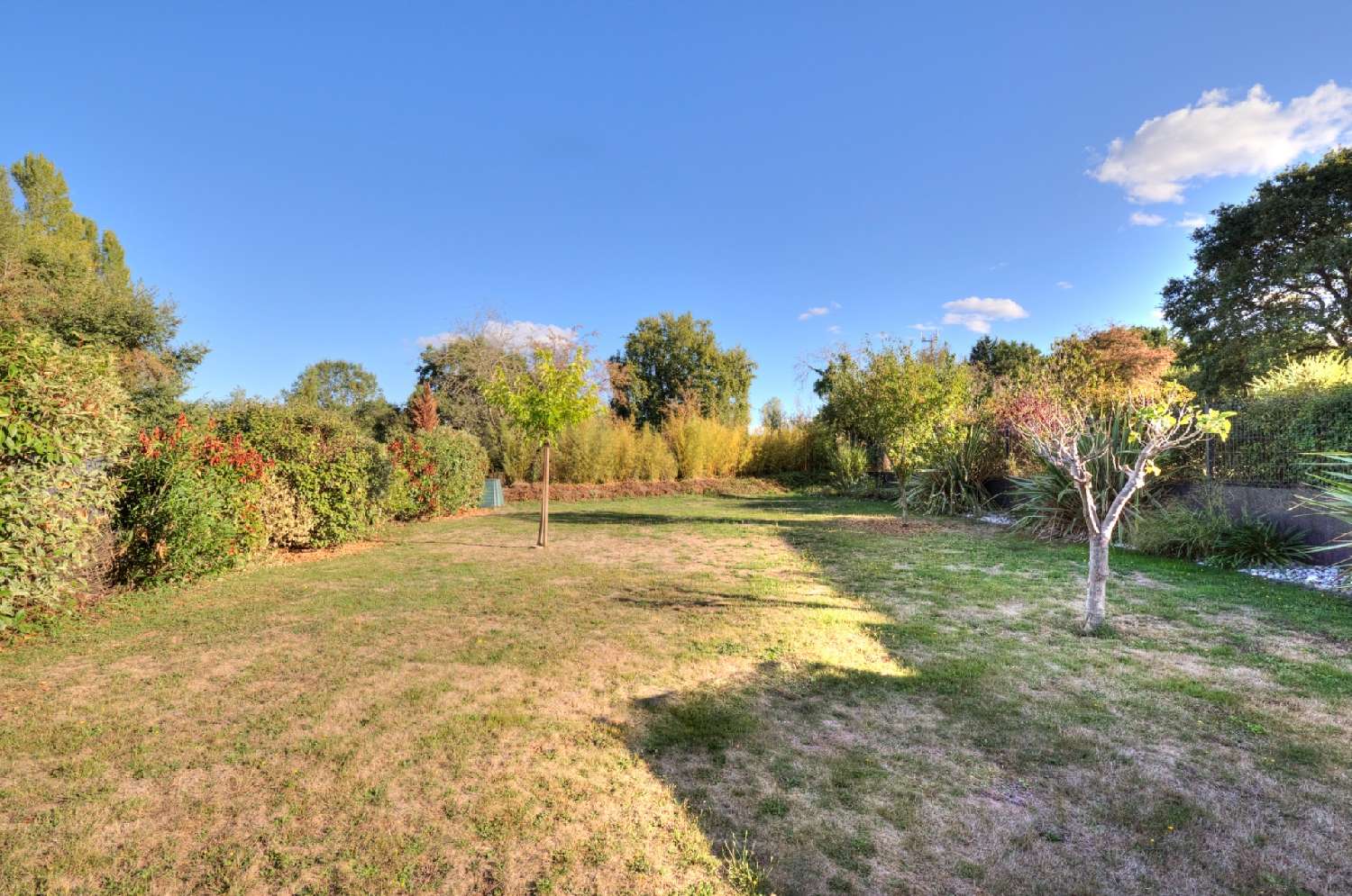 for sale house Cantenay-Épinard Maine-et-Loire 2