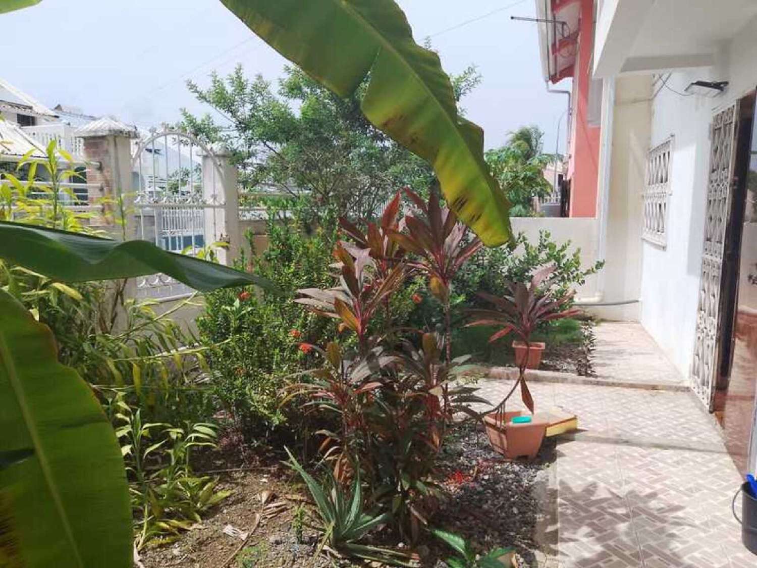 for sale house Capesterre-Belle-Eau Guadeloupe 4