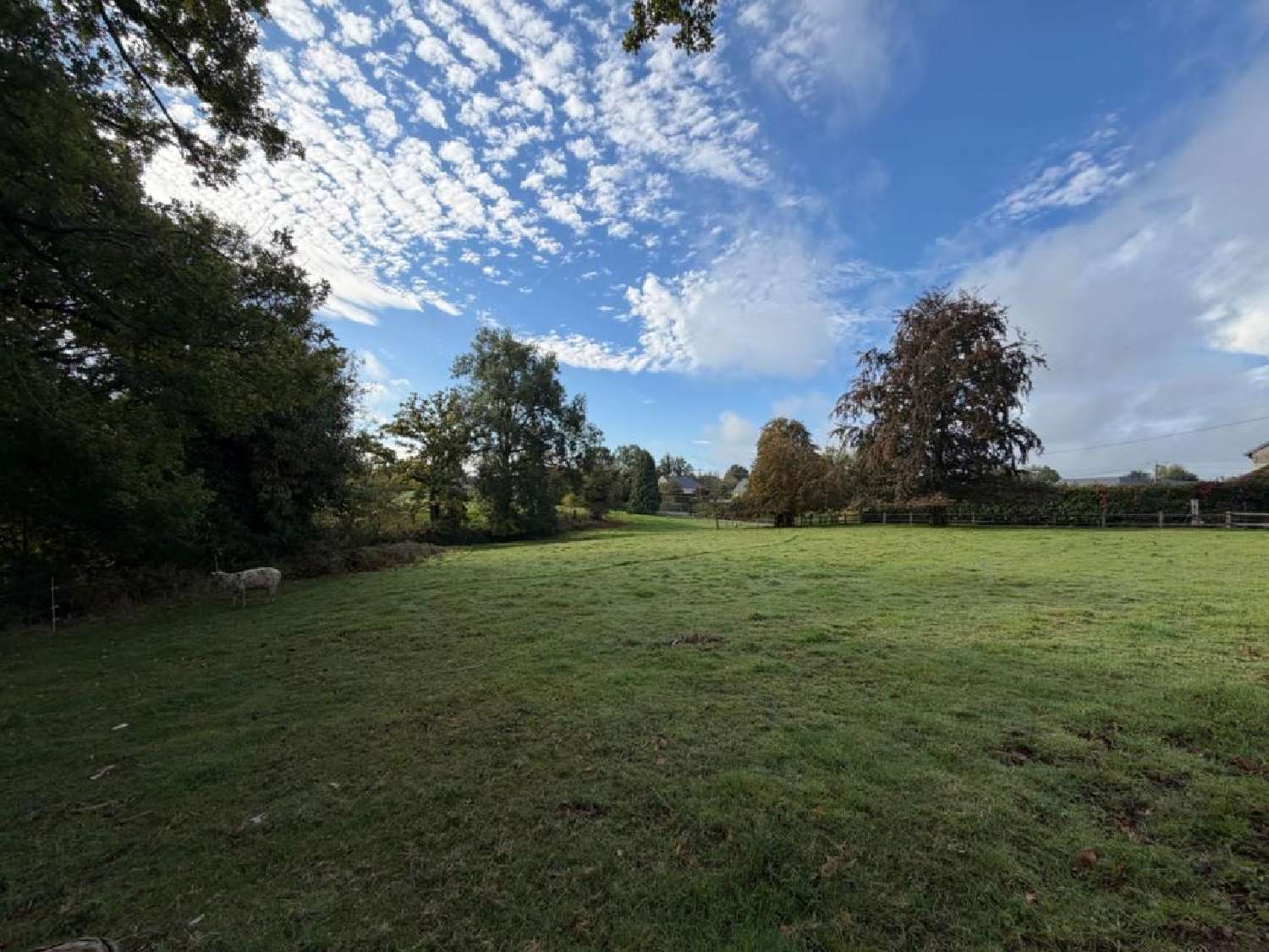  for sale house Carantilly Manche 7