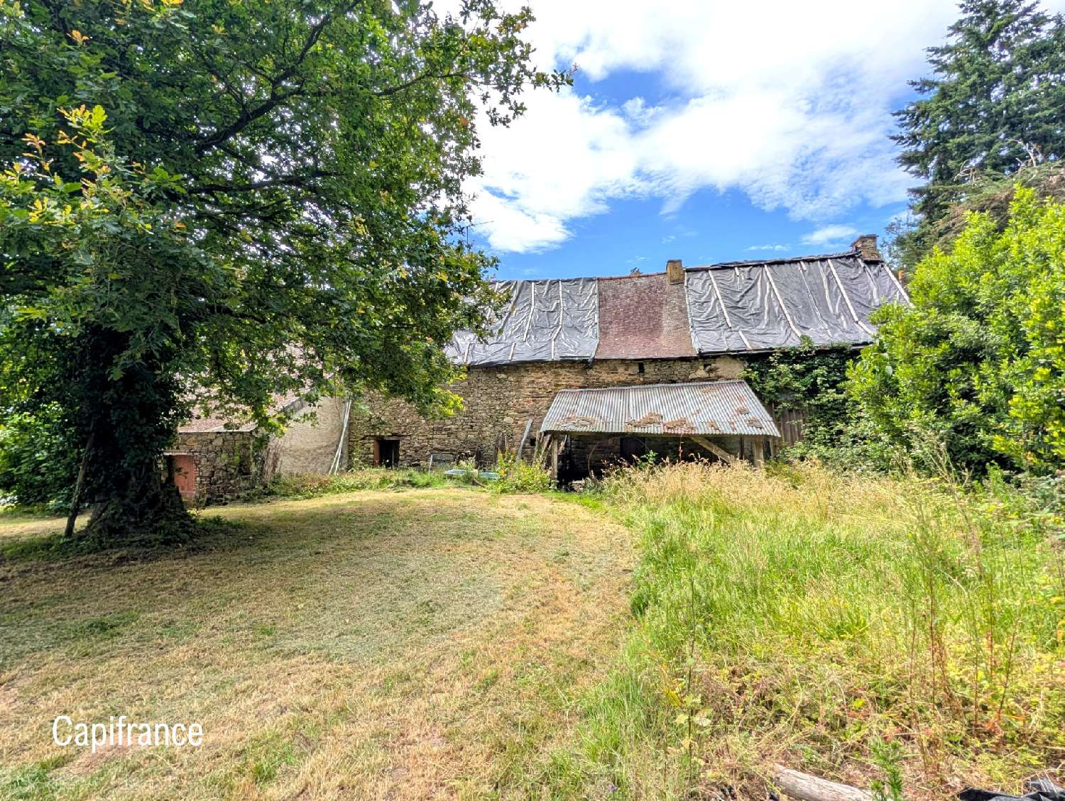 kaufen Haus Carentoir Morbihan 6