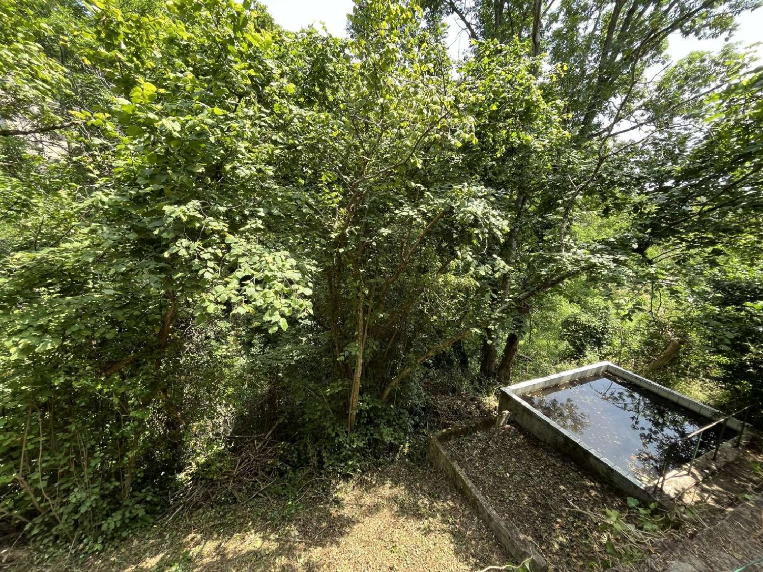 à vendre maison Cassagnoles Hérault 1