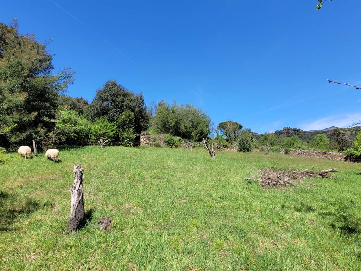 en venta casa Castanet-le-Haut Hérault 6