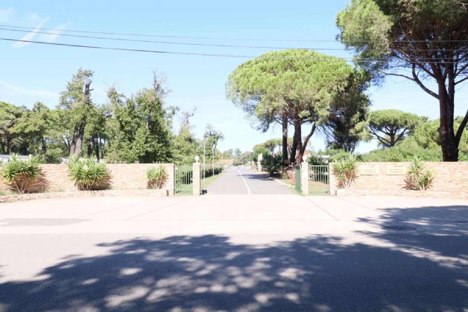 kaufen Haus Castellare-di-Casinca Haute-Corse 4