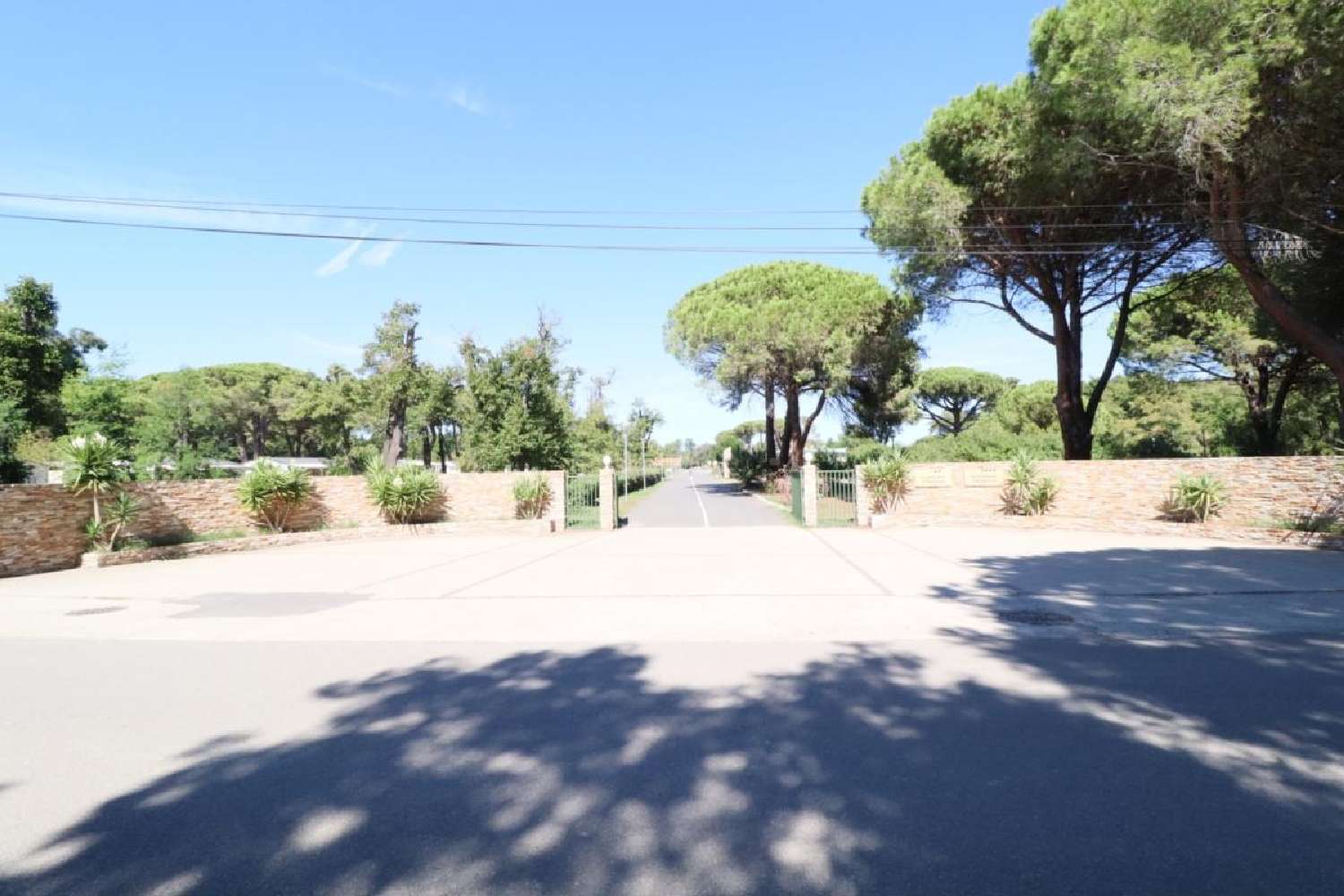 kaufen Haus Castellare-di-Casinca Haute-Corse 5