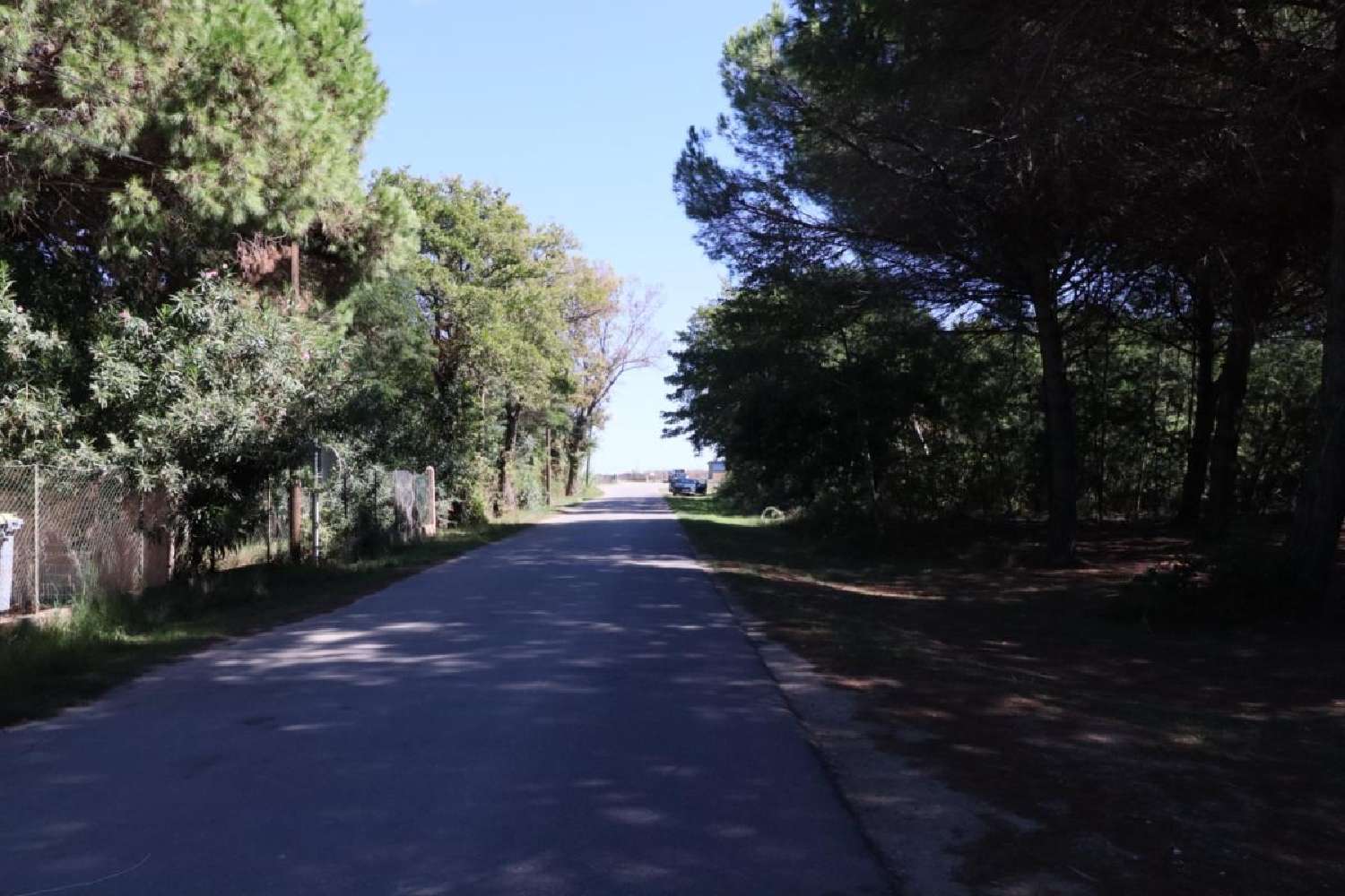 kaufen Haus Castellare-di-Casinca Haute-Corse 6