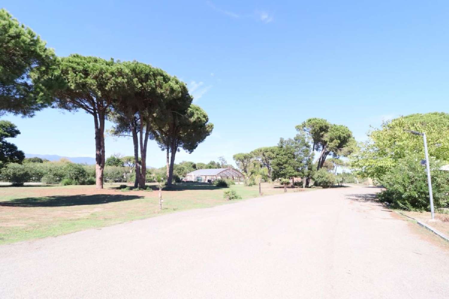 kaufen Haus Castellare-di-Casinca Haute-Corse 7