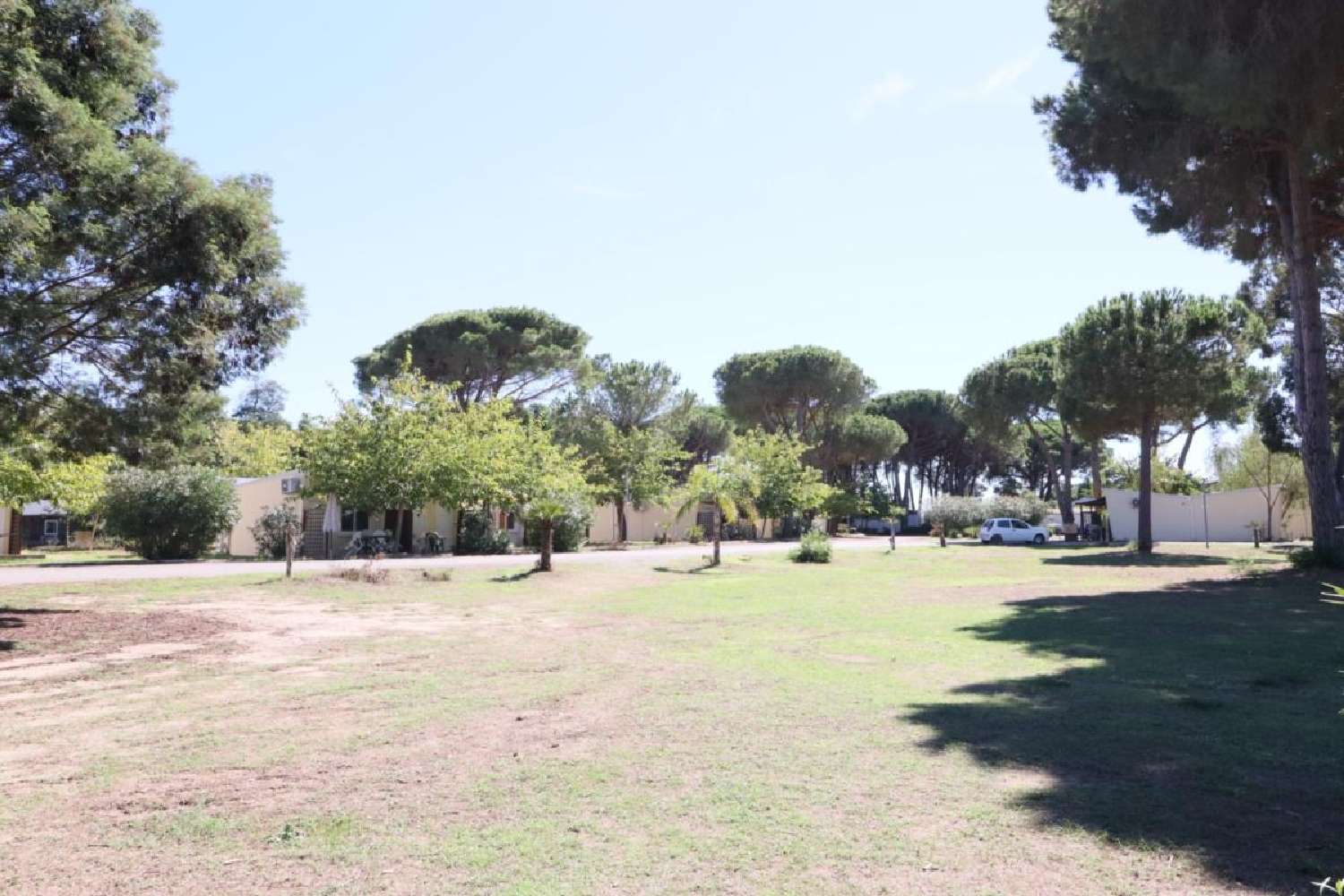 kaufen Haus Castellare-di-Casinca Haute-Corse 8