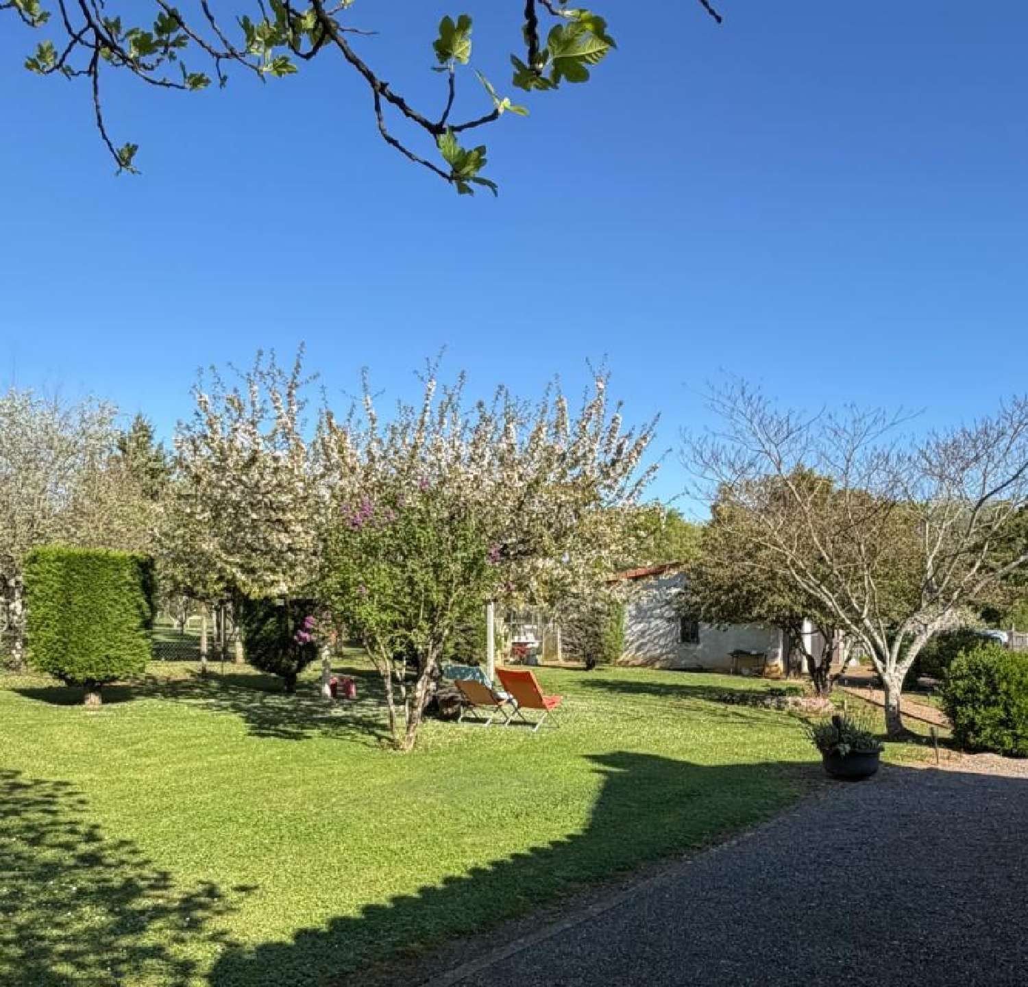 for sale house Cellefrouin Charente 4