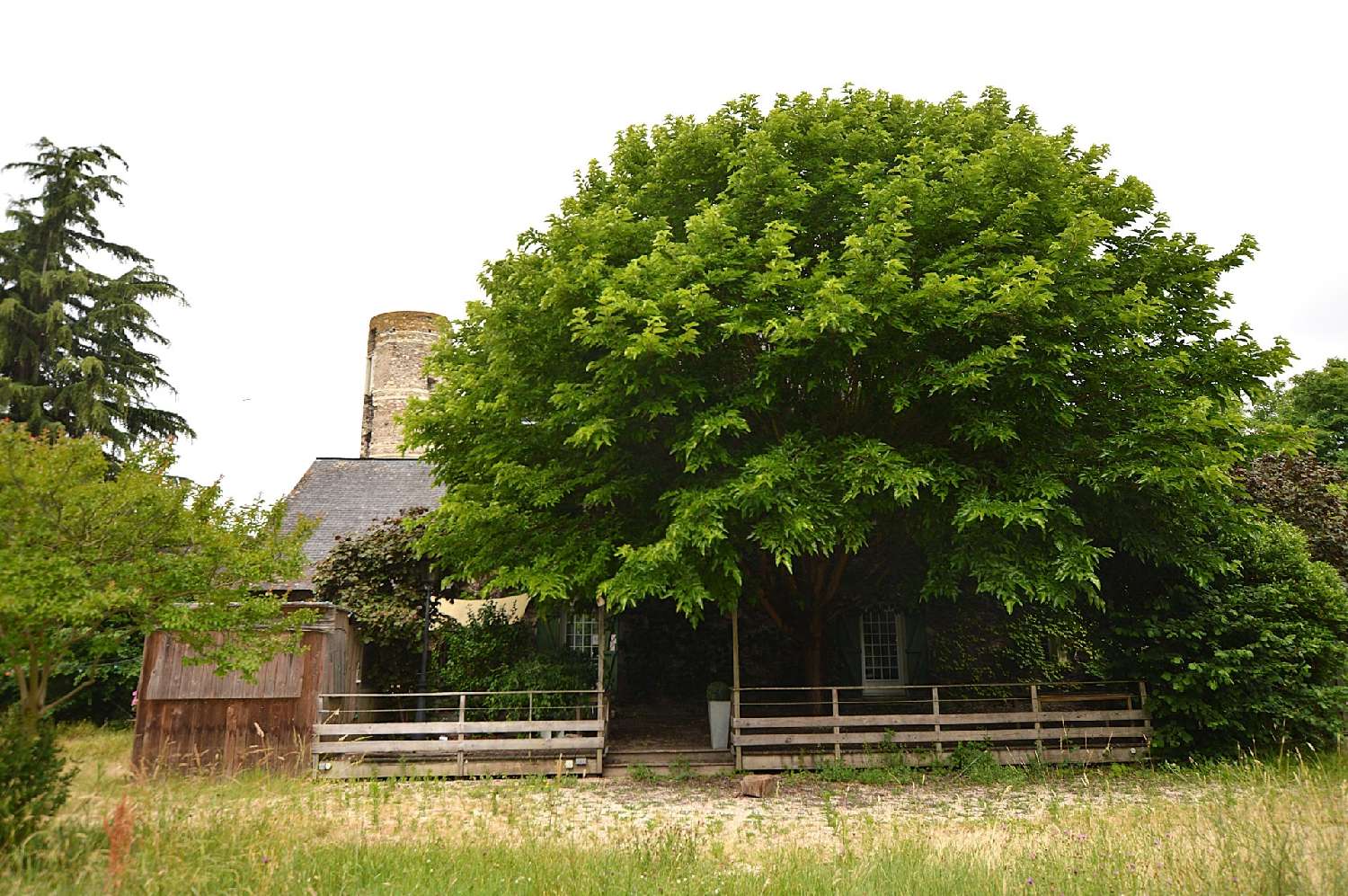 à vendre maison Champtocé-sur-Loire Maine-et-Loire 4